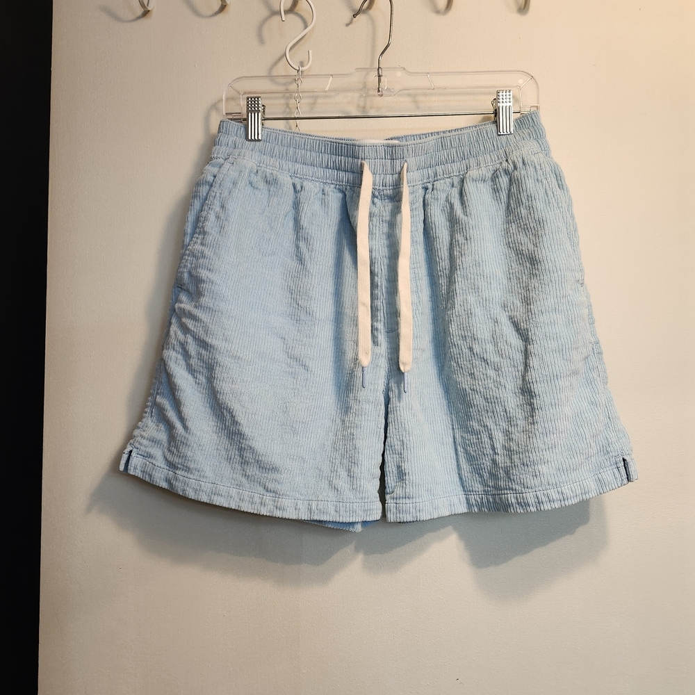 Urban Outfitters Sky Blue Athletic Shorts